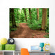 Unpaved Road Forest Wall Decal
