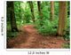 Unpaved Road Forest Wall Decal