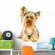 Purebred Dog Yorkshire Terrier Wall Decal