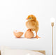 Newborn Brown Chicken Standing Wall Decal