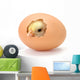 Newborn Yellow Chicken Hatching Wall Decal