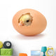 Newborn Yellow Chicken Hatching Wall Decal