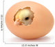 Newborn Yellow Chicken Hatching Wall Decal