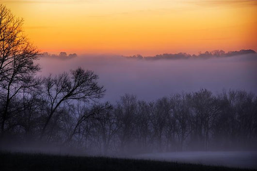Fog Dawn Wall Decal