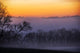 Fog Dawn Wall Decal