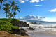 Tropical Hawaiian Beach Wall Decal