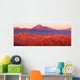 Catarpe Licancabur Volcano Atacama Wall Decal