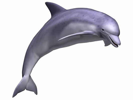Leaping Dolphin Wall Decal