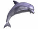 Leaping Dolphin Wall Decal