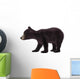 Black Bear Cub Wall Decal