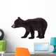 Black Bear Cub Wall Decal