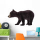 Black Bear Cub Wall Decal