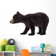 Black Bear Cub Wall Decal