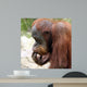 Meditating Orangutan Wall Decal