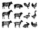 Farm Animals Butchery Silhouettes Wall Decal Sticker Set