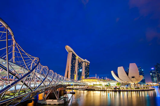 Helix Bridge Singapore Travel Wall Decal