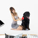 Young Woman and Rottweiler Wall Decal