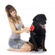 Young Woman and Rottweiler Wall Decal