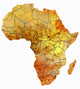 Africa Wall Decal