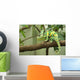 Chameleon Wall Decal