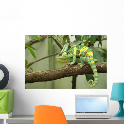 Chameleon Wall Decal shown on a wall