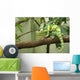 Chameleon Wall Decal