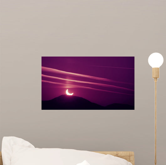 Morning Eclipse Wall Decal