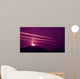 Morning Eclipse Wall Decal
