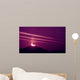 Morning Eclipse Wall Decal