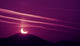 Morning Eclipse Wall Decal