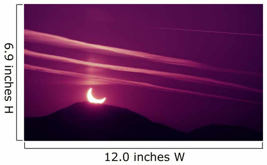Morning Eclipse Wall Decal