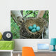 Blue Robbins Eggs Nest Wall Decal