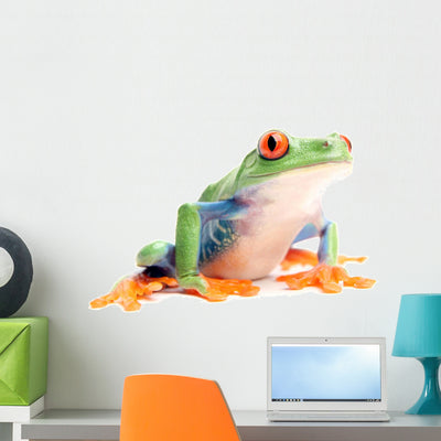 Frog Closeup Wall Decal shown on a wall