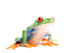 Frog Closeup Wall Decal