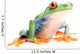 Frog Closeup Wall Decal
