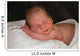 Sleeping Baby Wall Decal