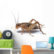 Brown Cricket White Wall Decal