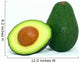 Green Avocado Cut Wall Decal