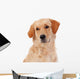 Beautiful Golden Retriever Wall Decal