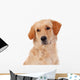 Beautiful Golden Retriever Wall Decal