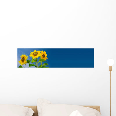 Sunflower Banner Wall Decal shown on a wall