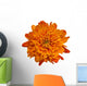 Orange Chrysanthemum Flower Wall Decal