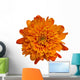 Orange Chrysanthemum Flower Wall Decal