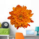Orange Chrysanthemum Flower Wall Decal