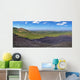 Panoramic Landscape Cerro Negro Wall Decal