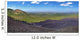 Panoramic Landscape Cerro Negro Wall Decal