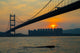 Hong Kong Tsing Ma Bridge Wall Decal