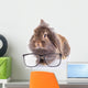 Lion Head Rabbit Bunny Wall Decal