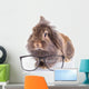 Lion Head Rabbit Bunny Wall Decal