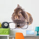 Lion Head Rabbit Bunny Wall Decal